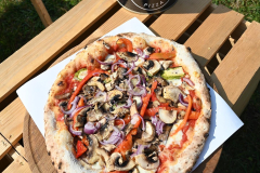 378118280_235124626188239_4939959924323162344_n